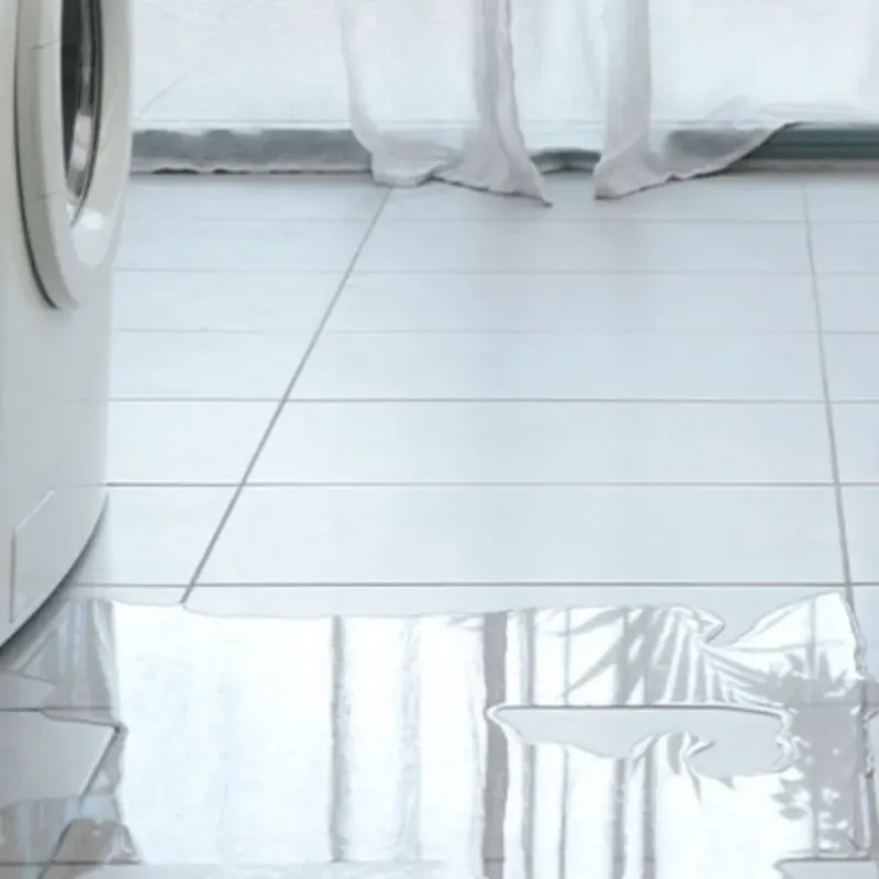 Appliance Leak Cleanup in Pickens, SC